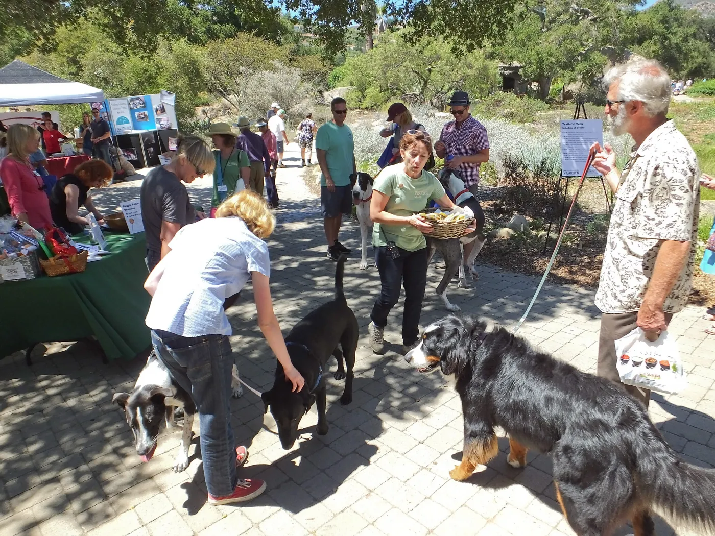 Trails n Tails 2014