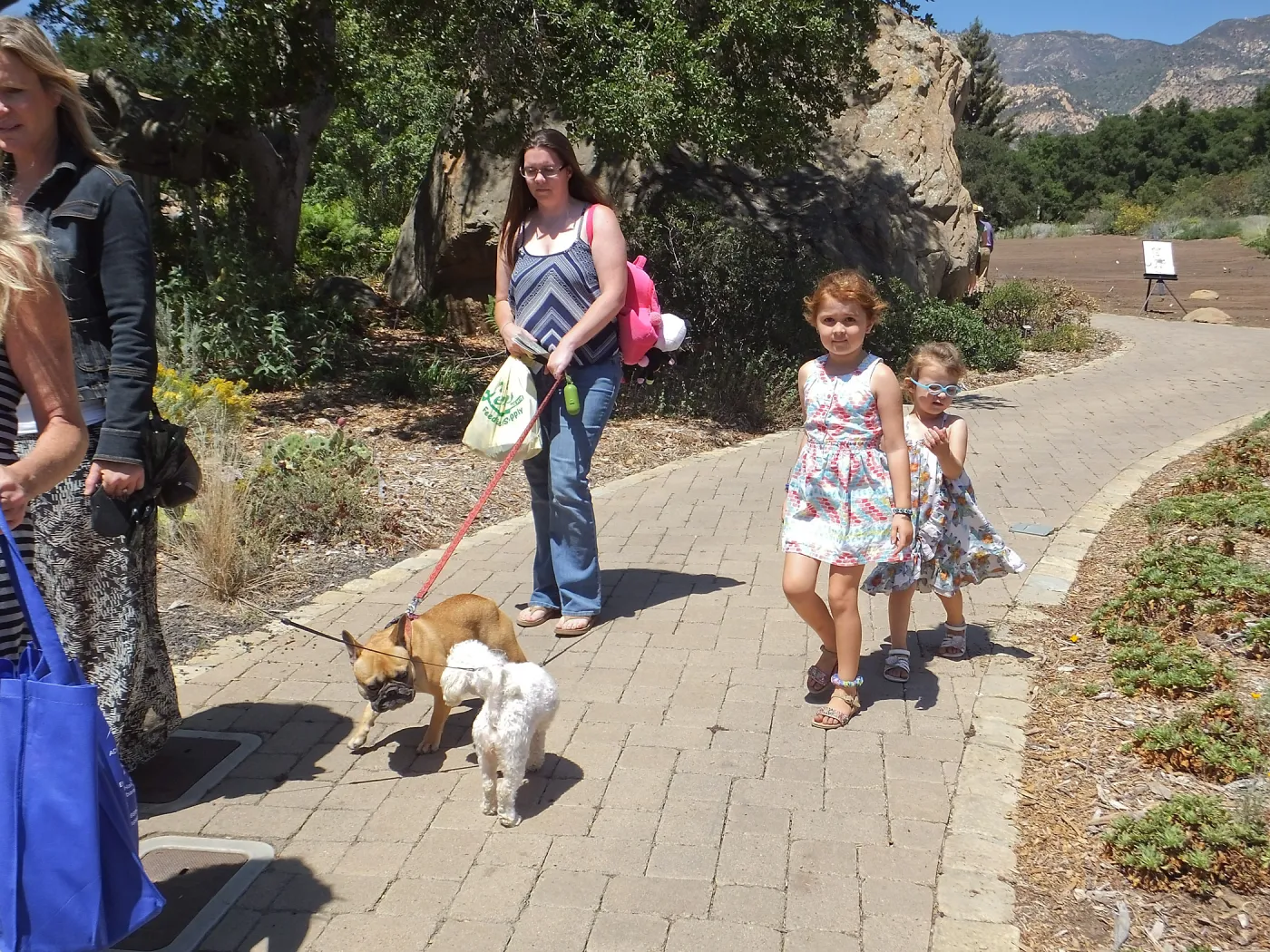 Trails n Tails 2014