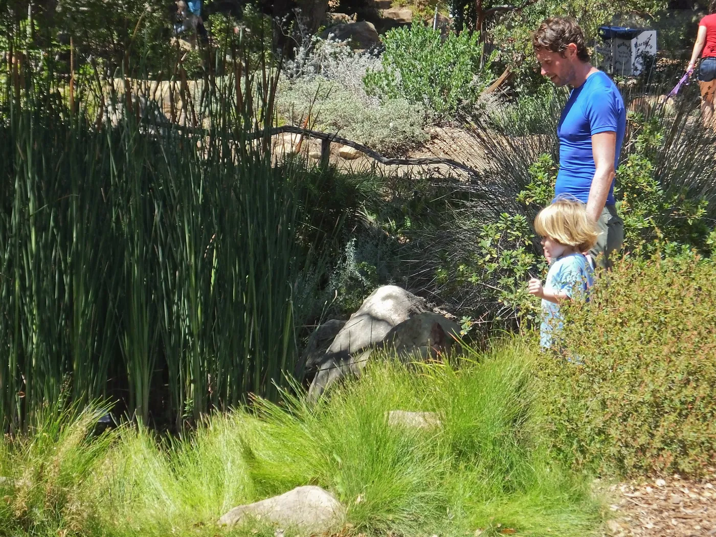 Trails n Tails 2014, father and son at pond