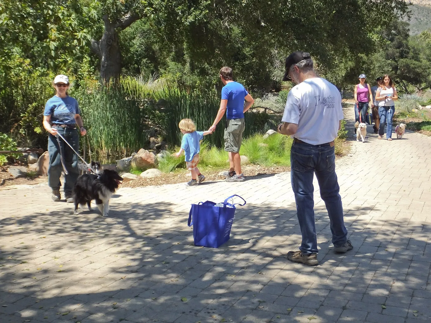 Trails n Tails 2014