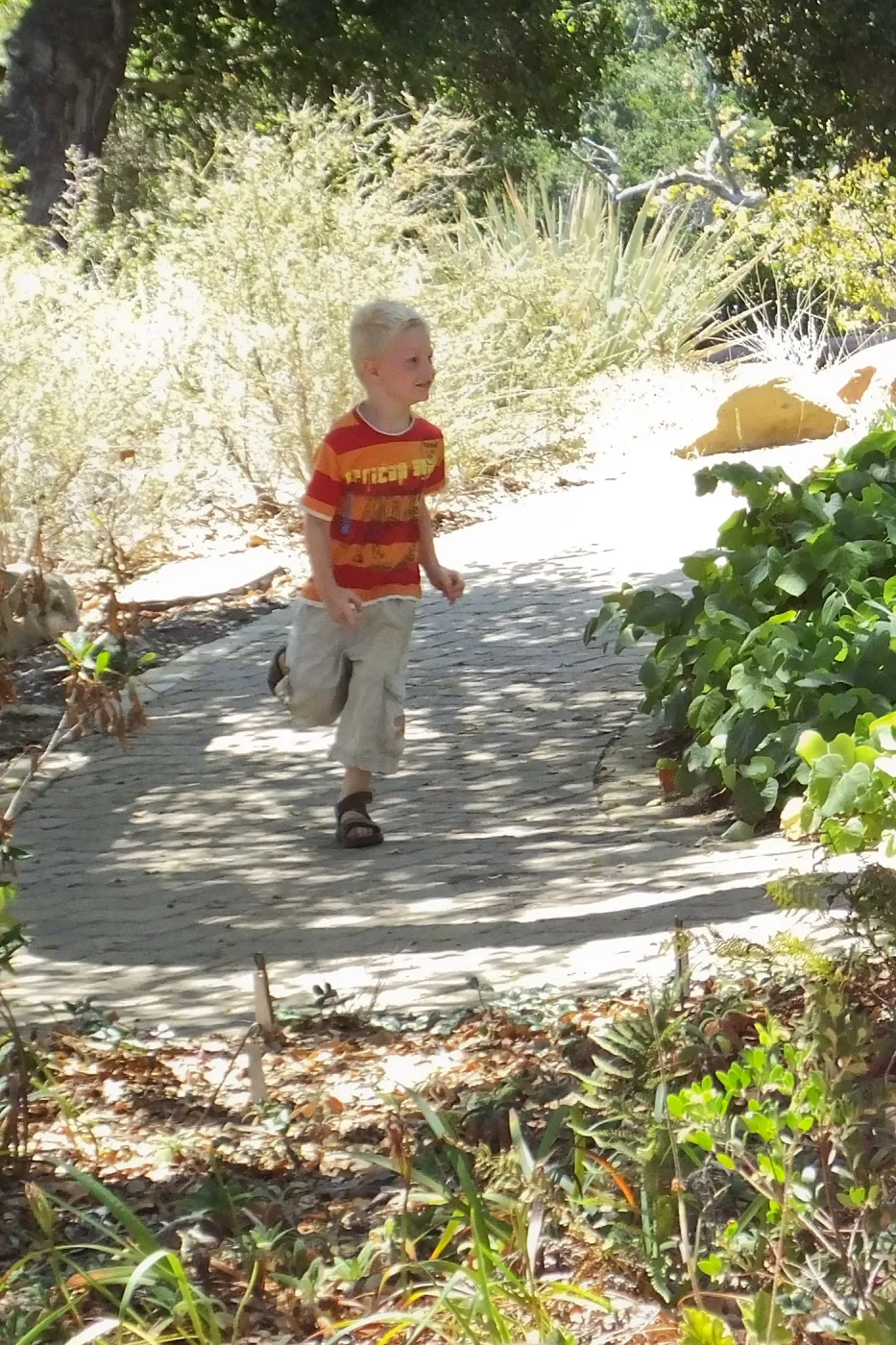 Trails n Tails 2014, boy playing near information kiosk