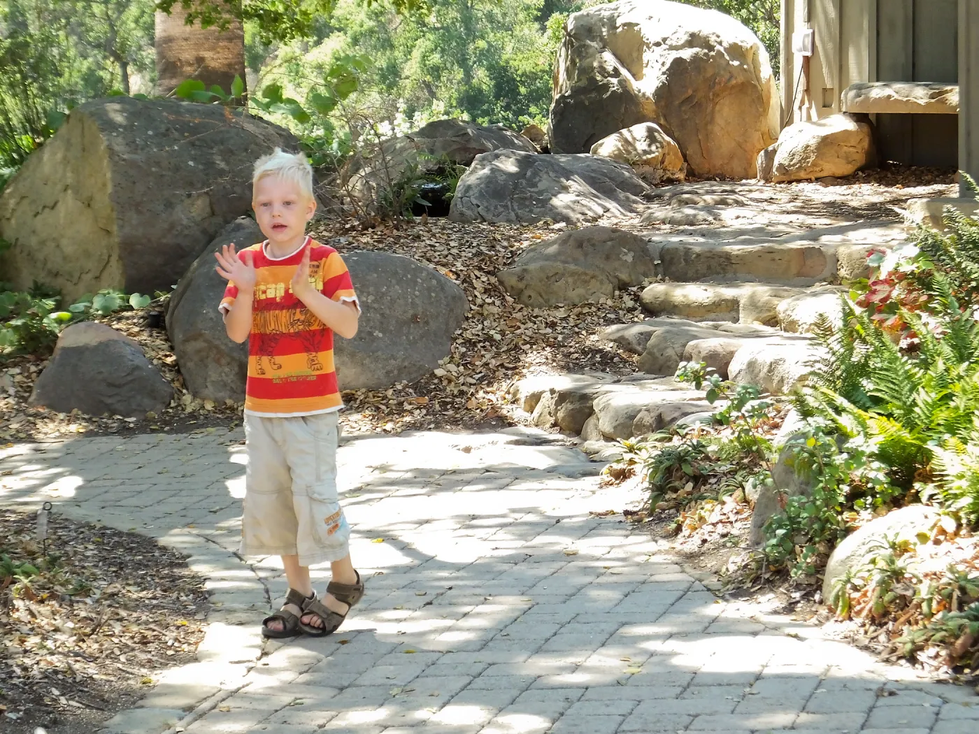 Trails n Tails 2014, boy playing near information kiosk