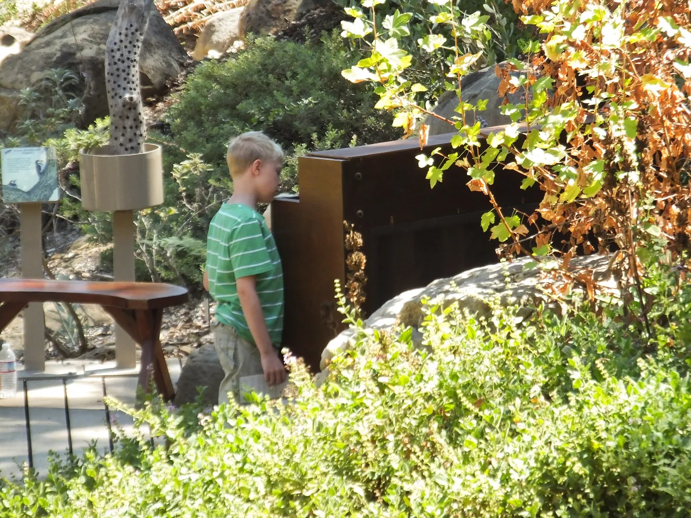 Trails n Tails 2014, Boy and piano on Arroyo stage