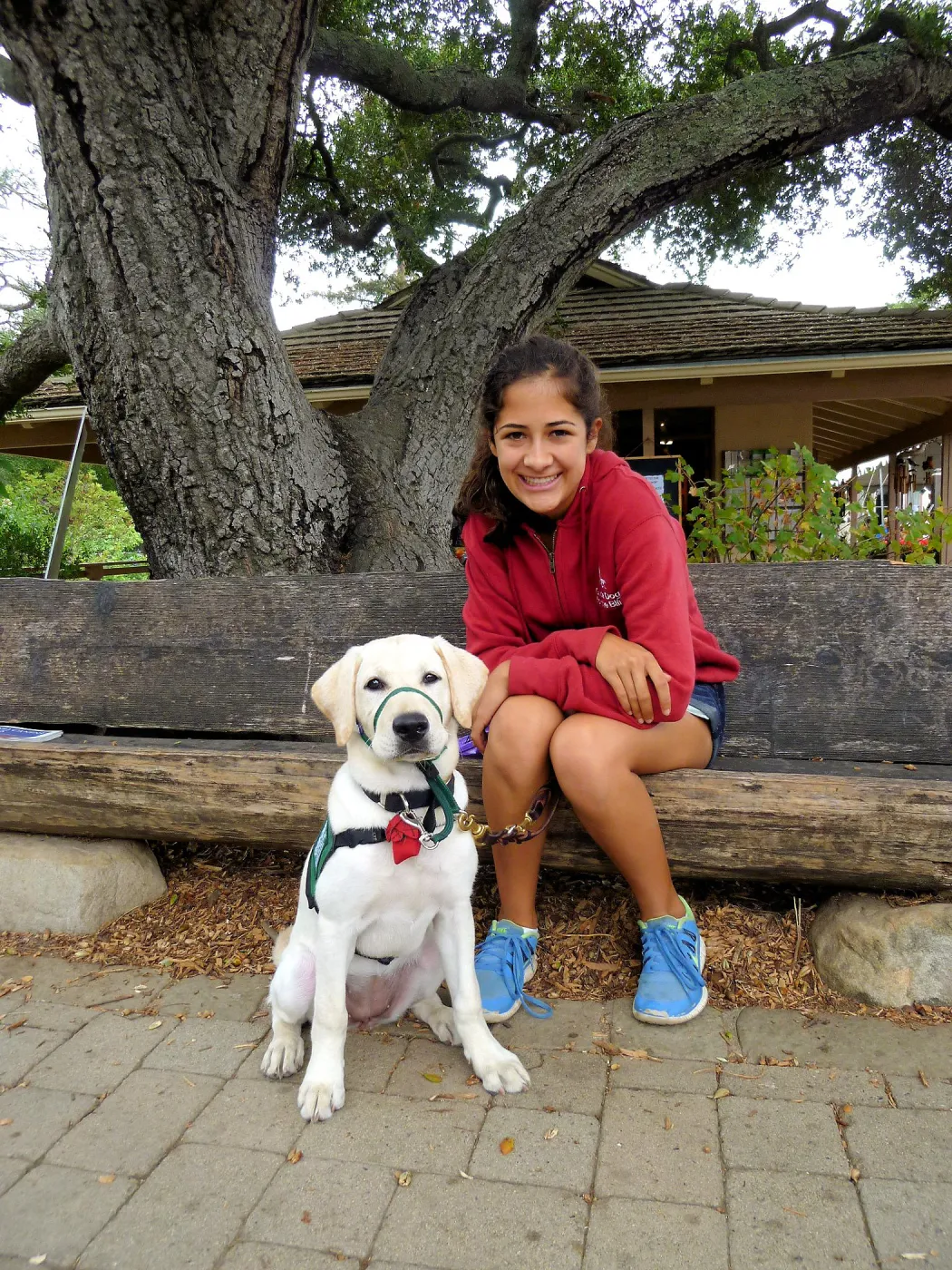 Trails n Tails 2014