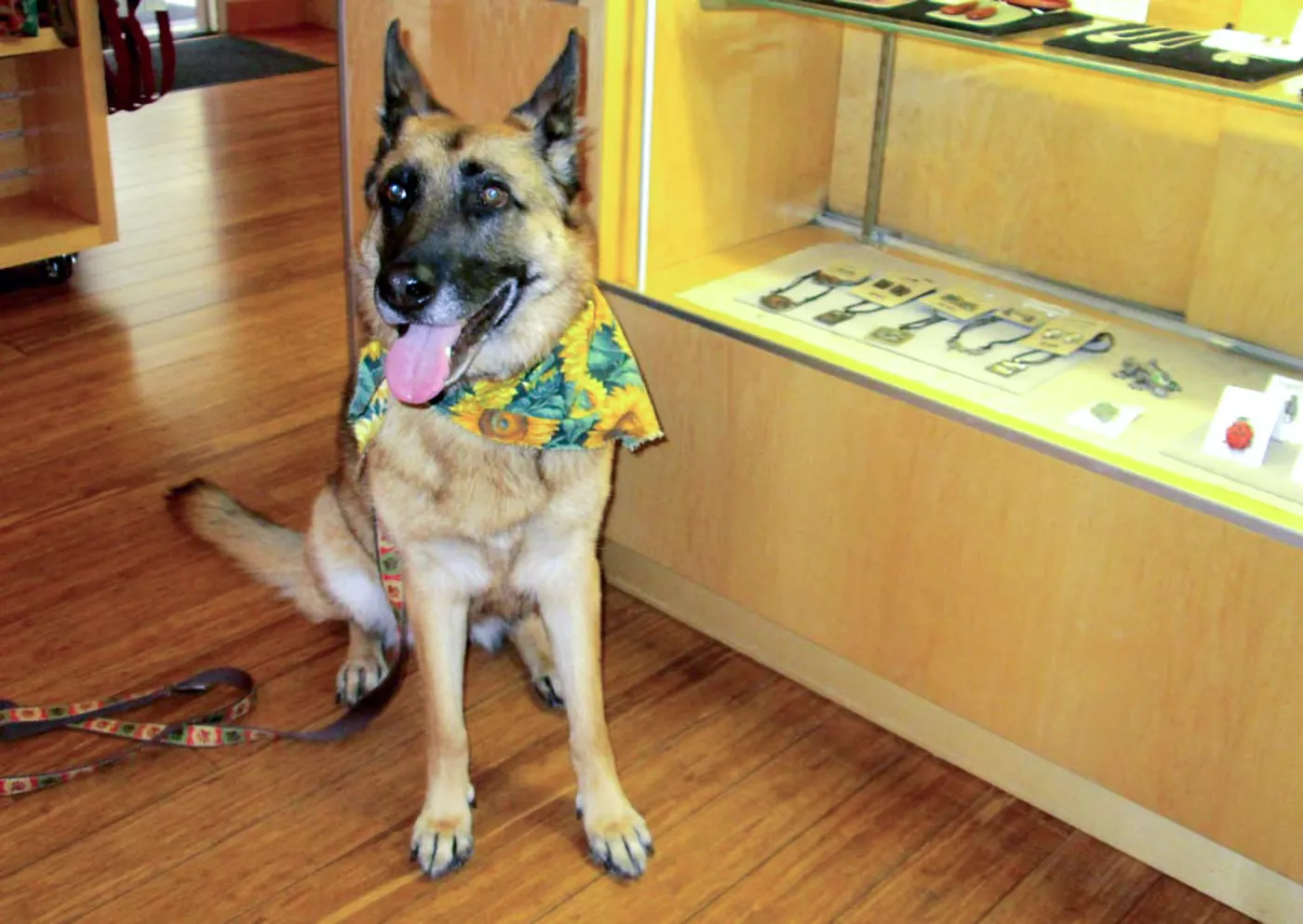 Trails n Tails 2014