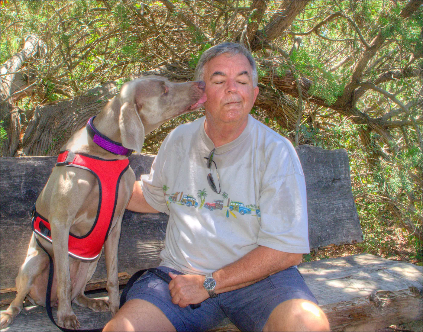 Trails n Tails 2014, Who's That Doggie in the Garden Photo Contest