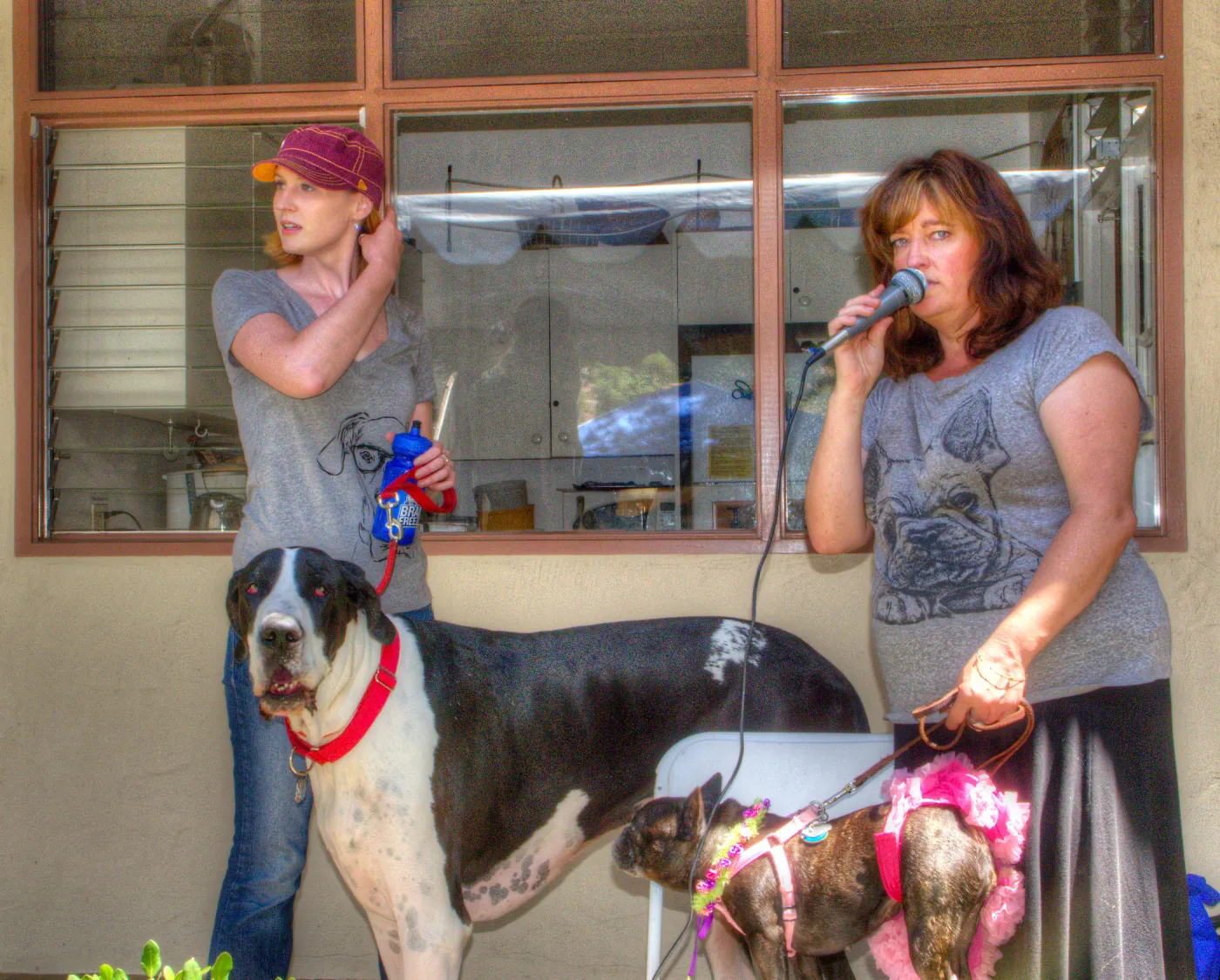 Trails n Tails 2014, Who's That Doggie in the Garden Photo Contest