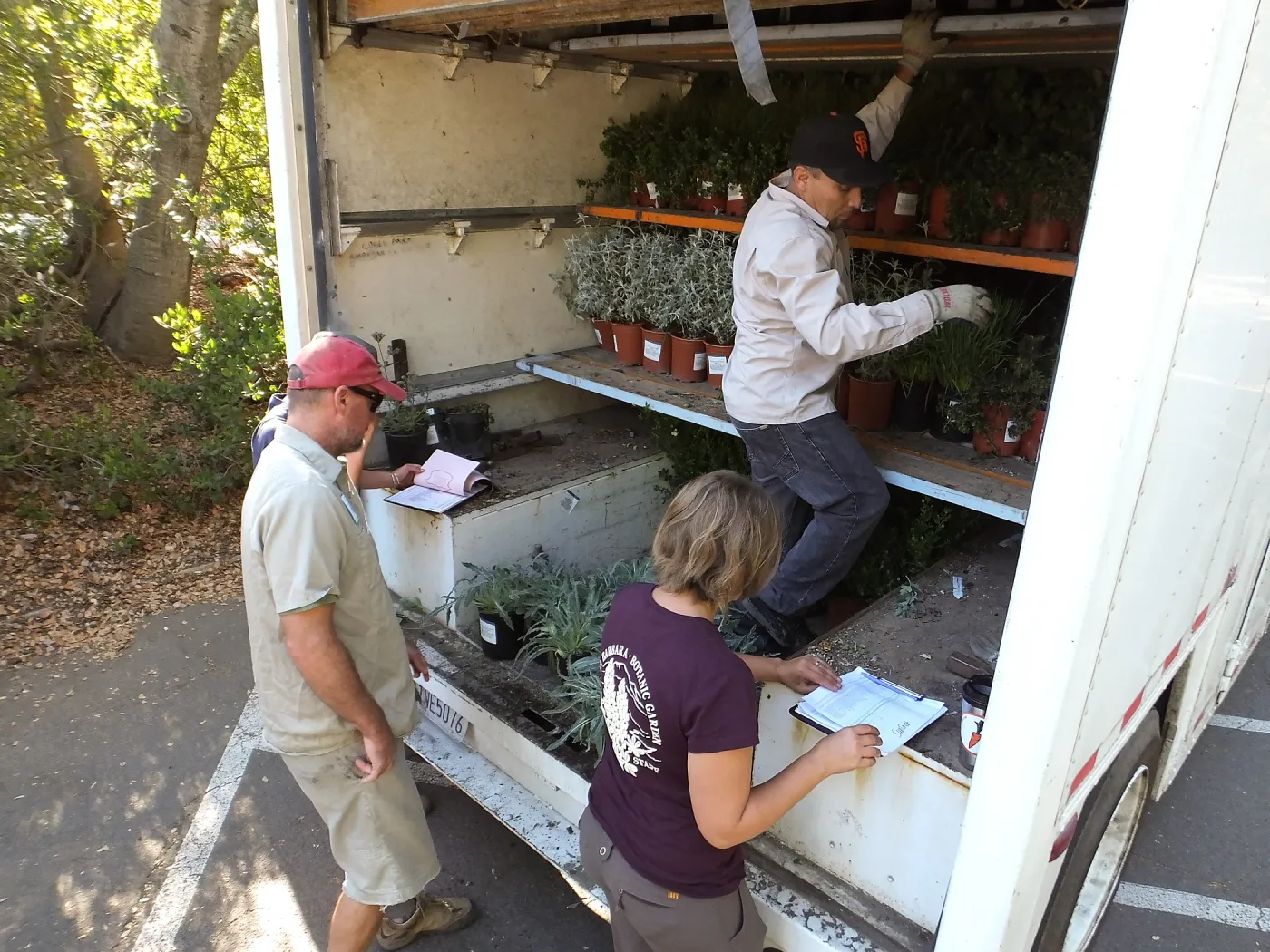 Fall Plant Sale 2014 Preparations