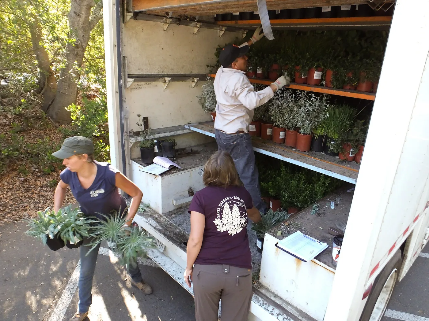 Fall Plant Sale 2014 Preparations