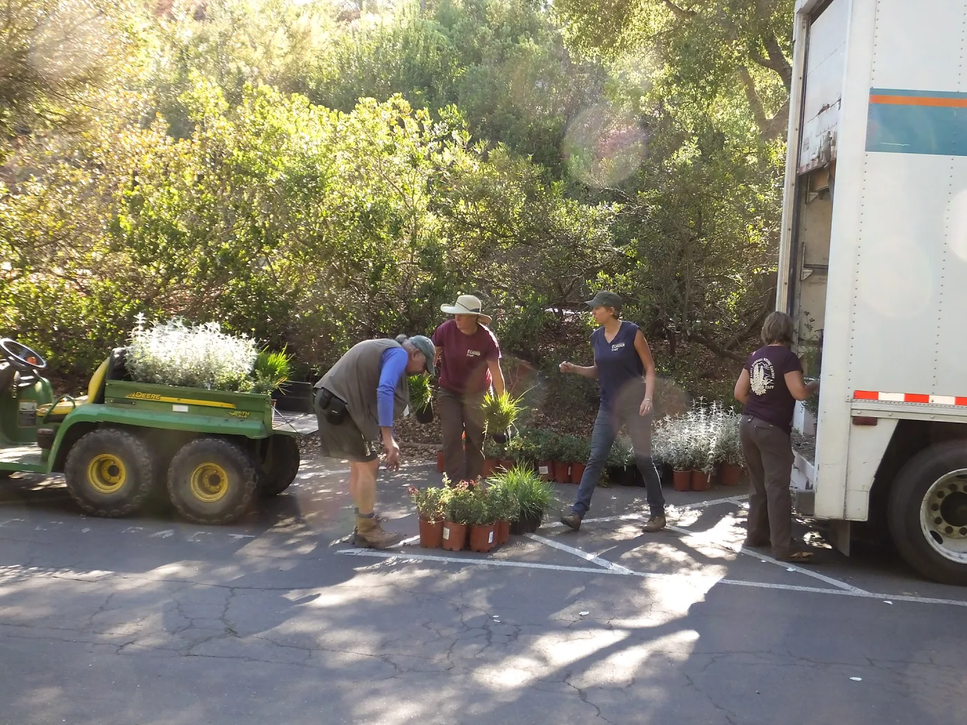 Fall Plant Sale 2014 Preparations