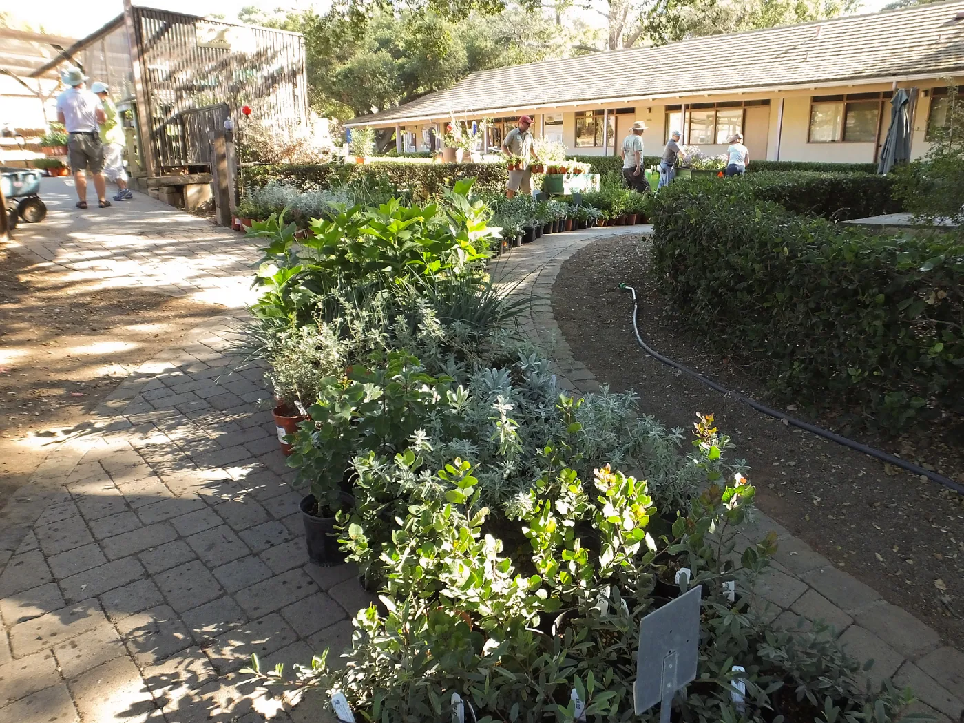 Fall Plant Sale 2014 Preparations