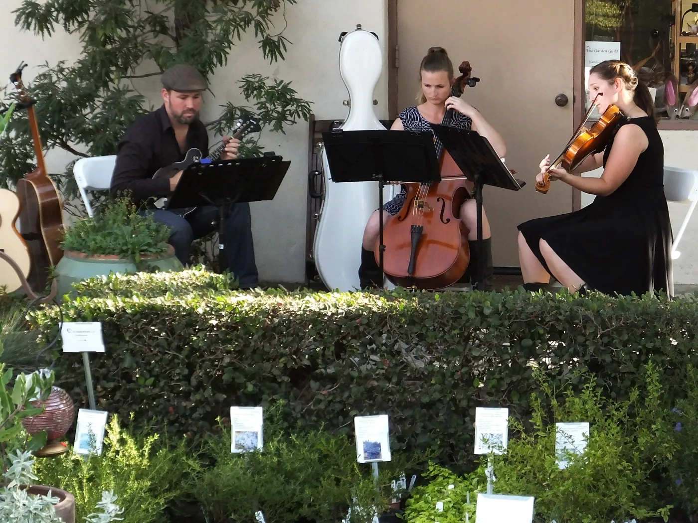 Fall Plant Sale 2014 Member Preview Party, Mission Creek Trio