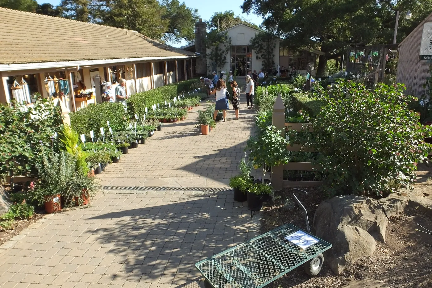 Fall Plant Sale 2014 Member Preview Party