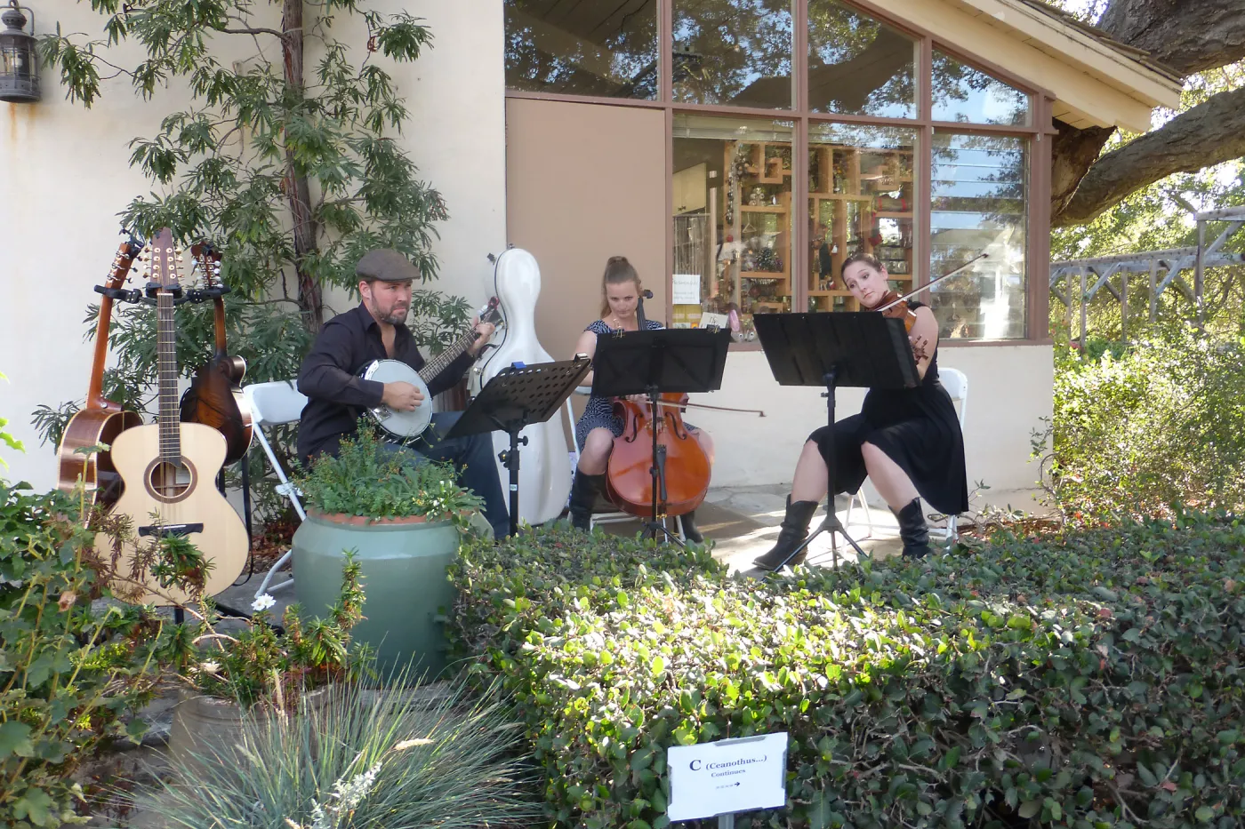 Fall Plant Sale 2014 Member Preview Party, Mission Creek Trio