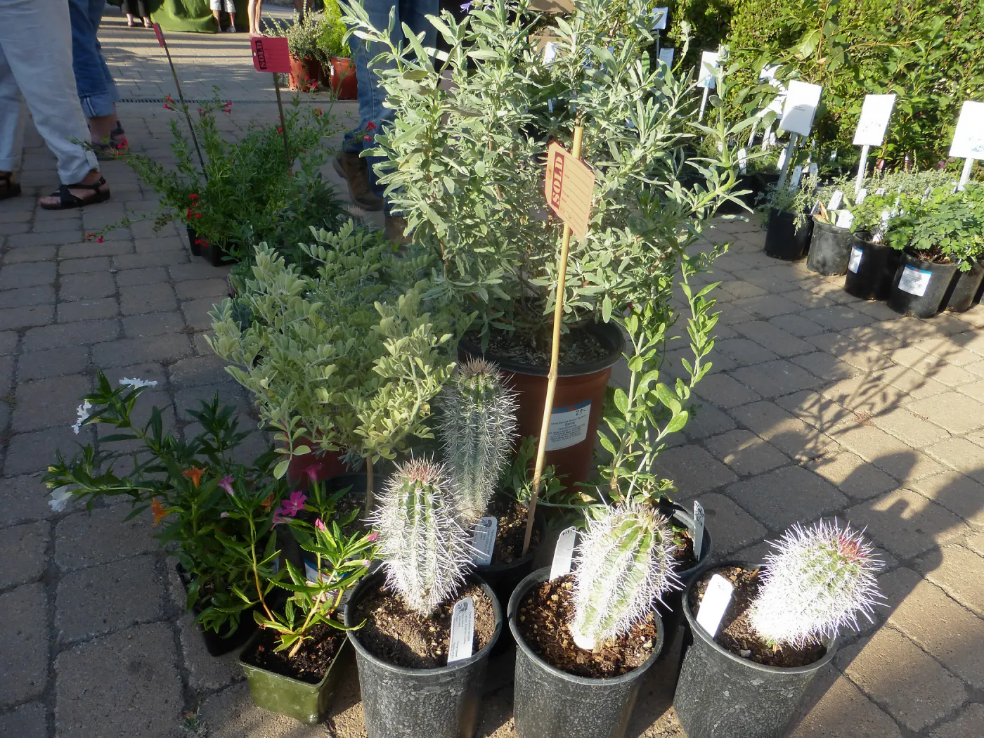 Fall Plant Sale 2014 Member Preview Party