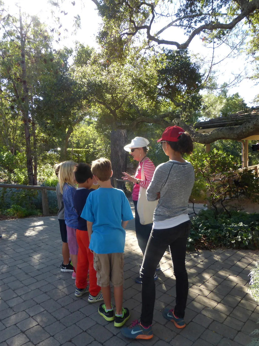 Chumash Uses of Plants Tour for 3rd Graders from Cold Springs School