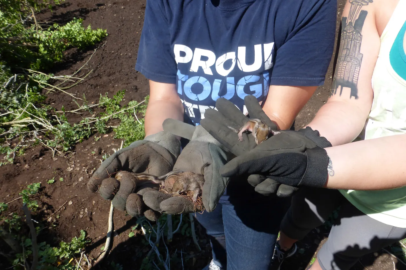 Volunteers from Vandenberg Air Force Base