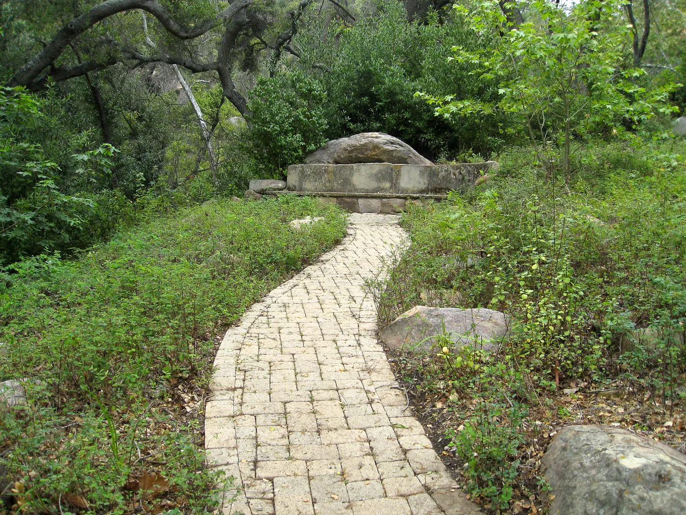 Campbell Bench site after maintenance