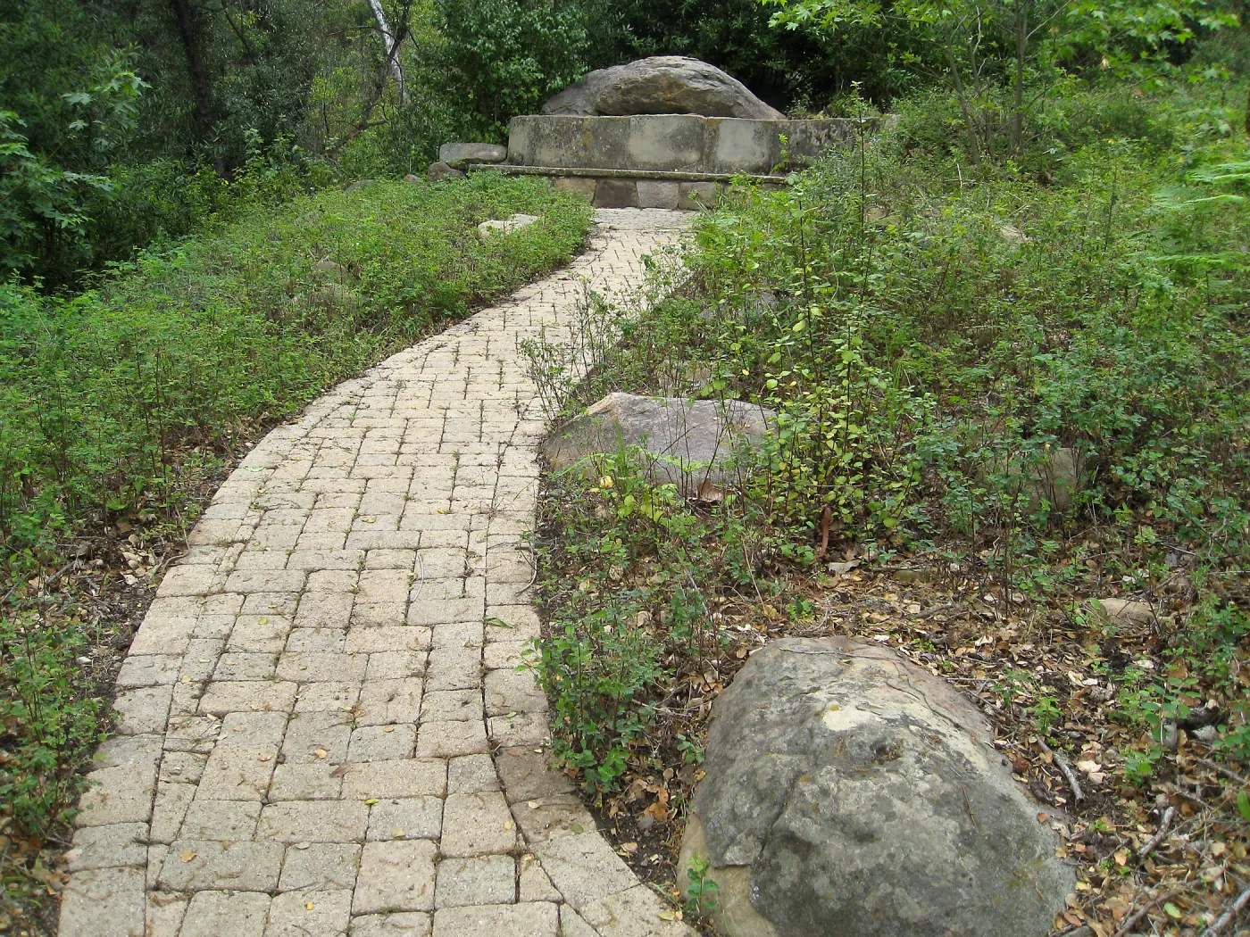 Campbell Bench site after maintenance
