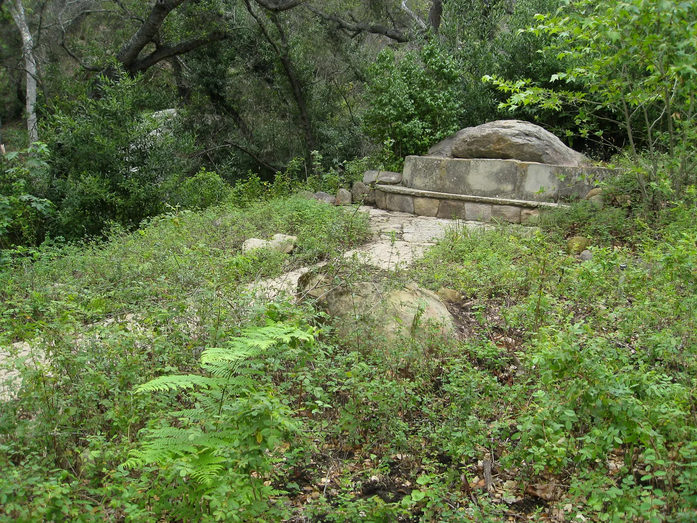 Campbell Bench site after maintenance