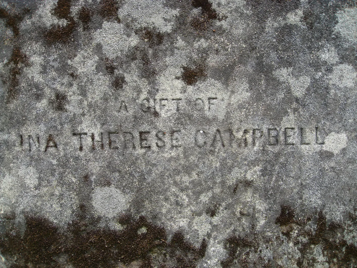 Boulder at Campbell Bench site
