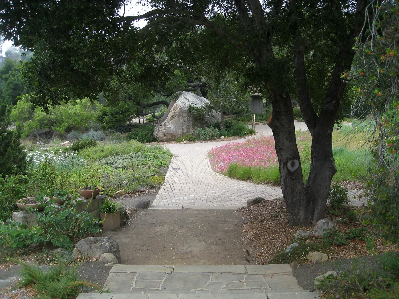 View from historic entry steps to the Blaksley Boulder