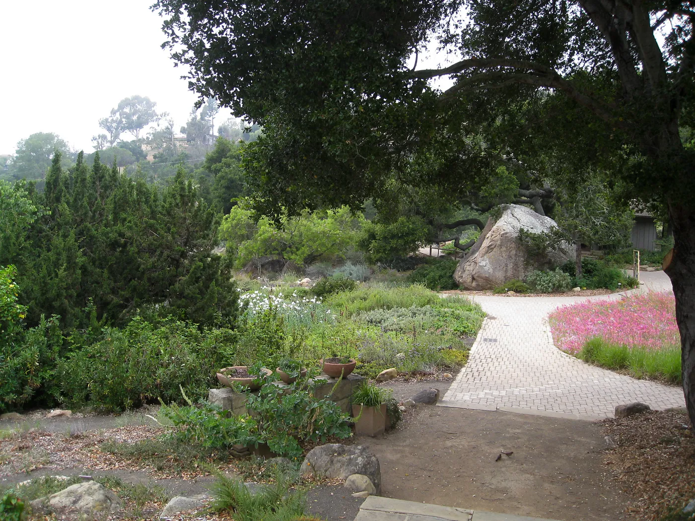 View from historic entry steps to the Blaksley Boulder