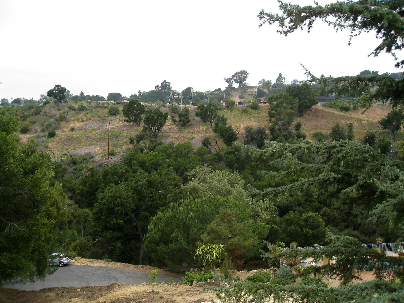 Pritzloff Conservation Center story pole study. View of east side