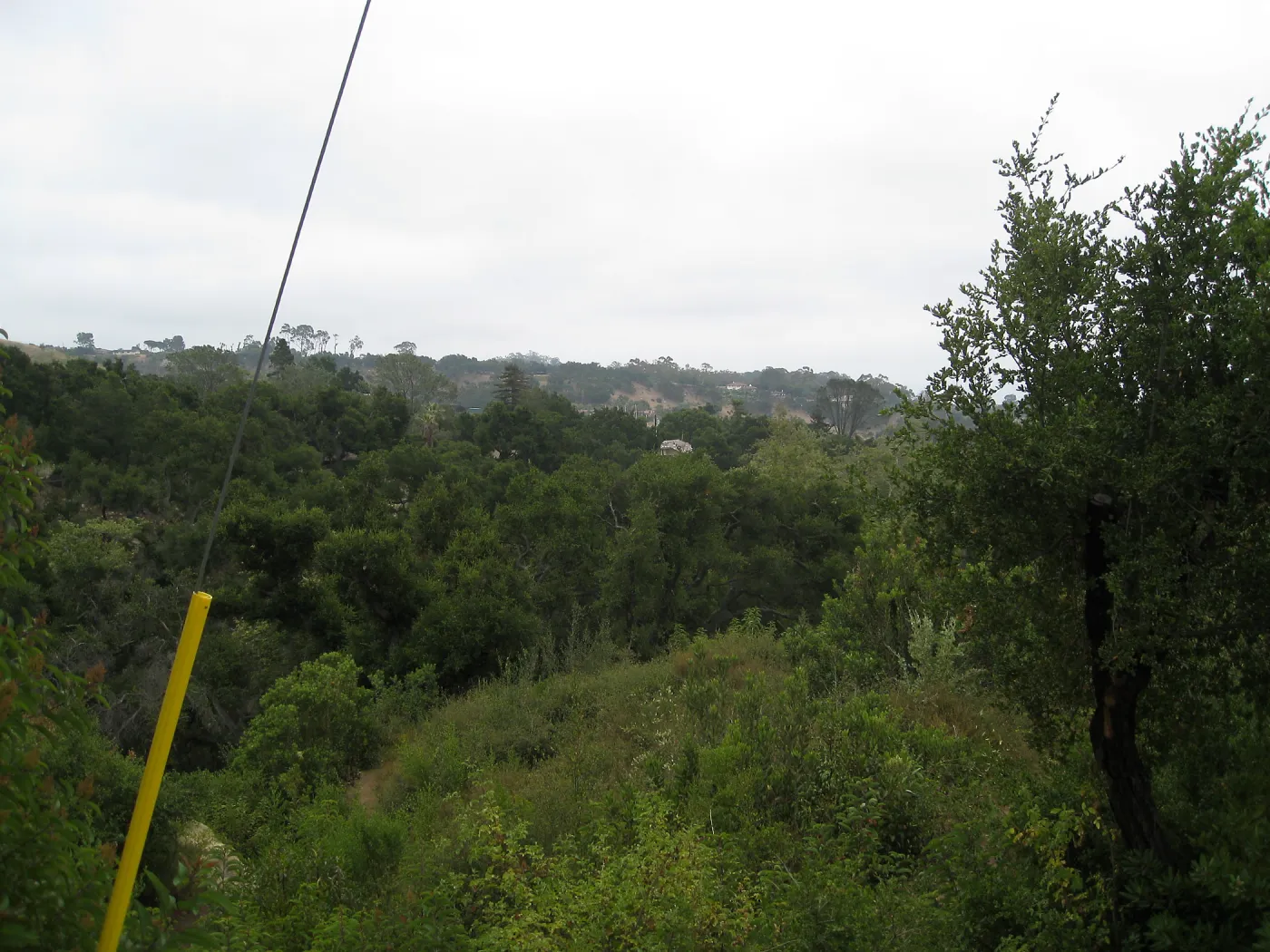 Pritzloff Conservation Center story pole study