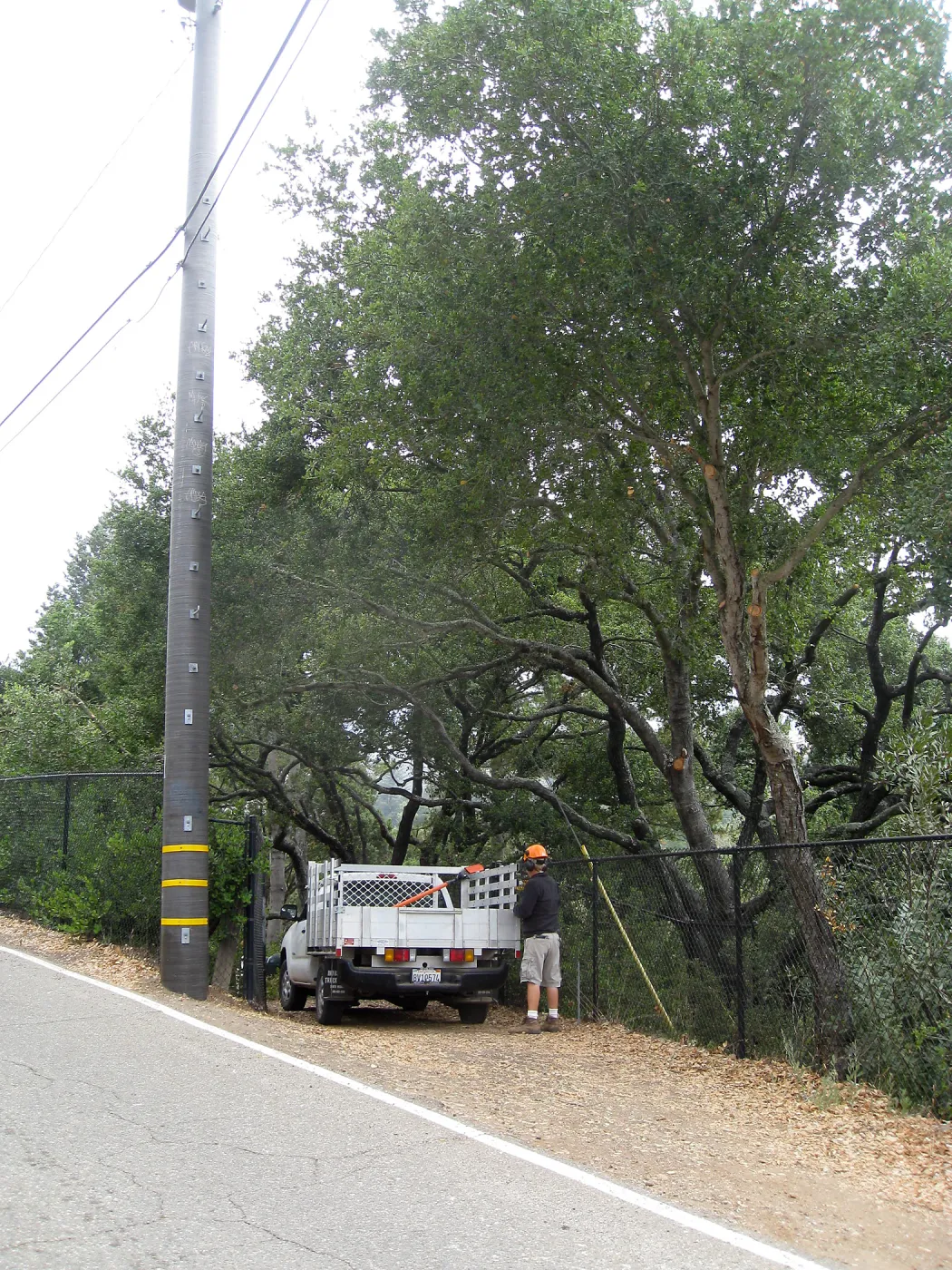 Lifting oak canopy at Tunnel Rd gate before delivery of Campbell bridge materials