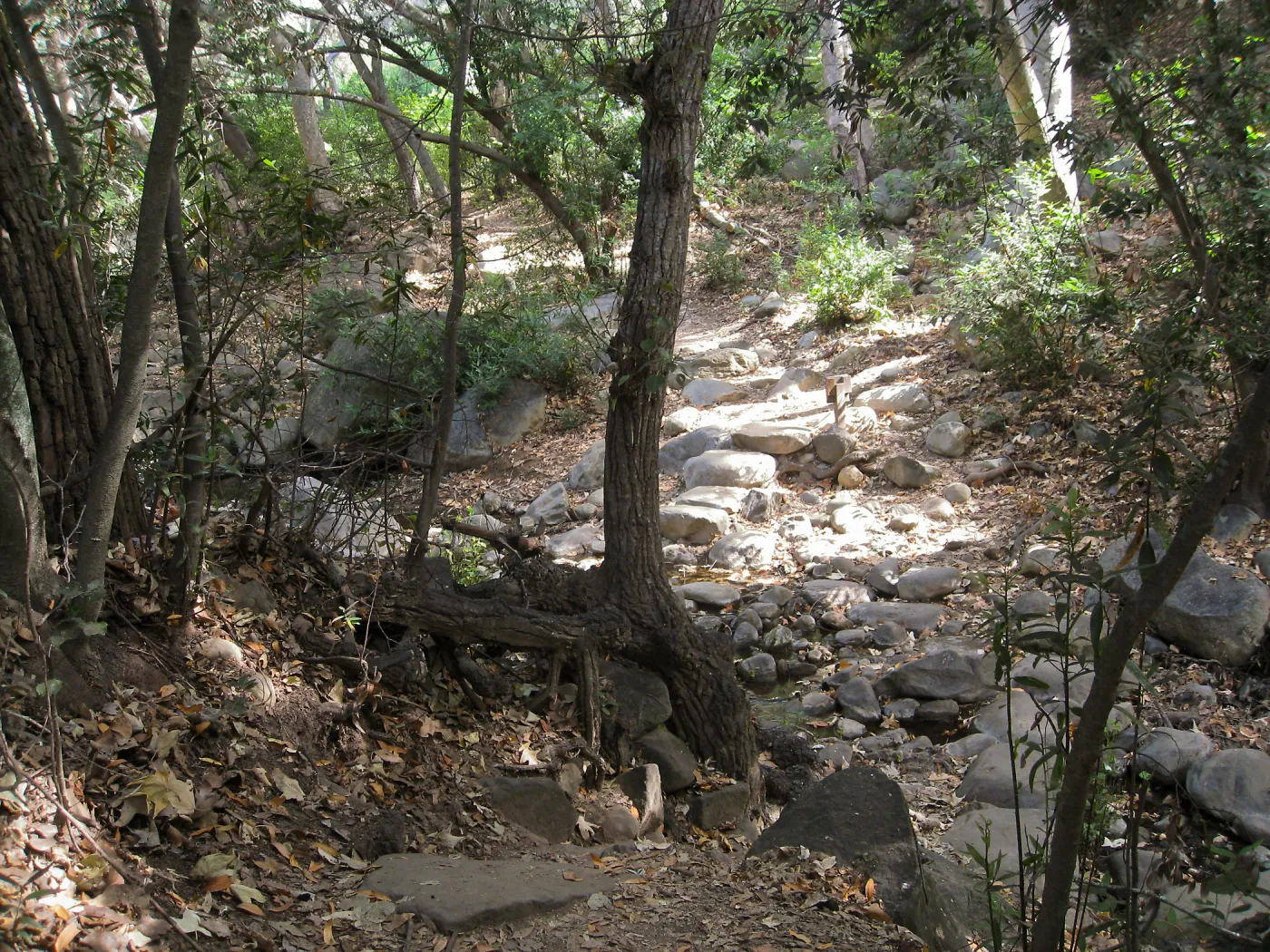 Upper creek crossing 