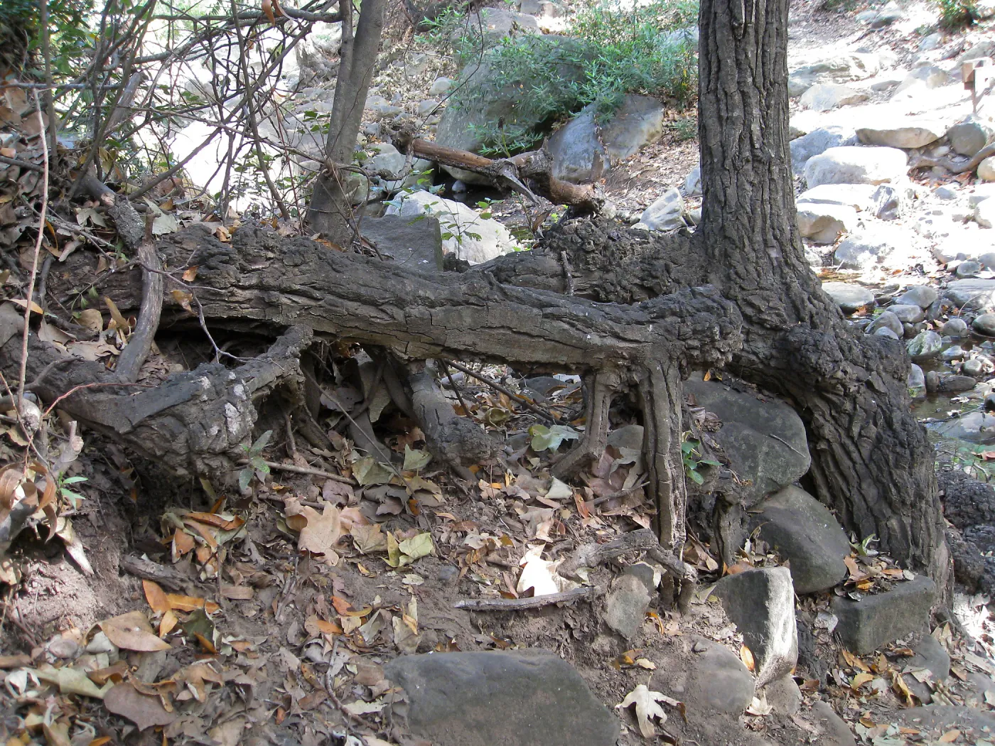 Upper creek crossing 