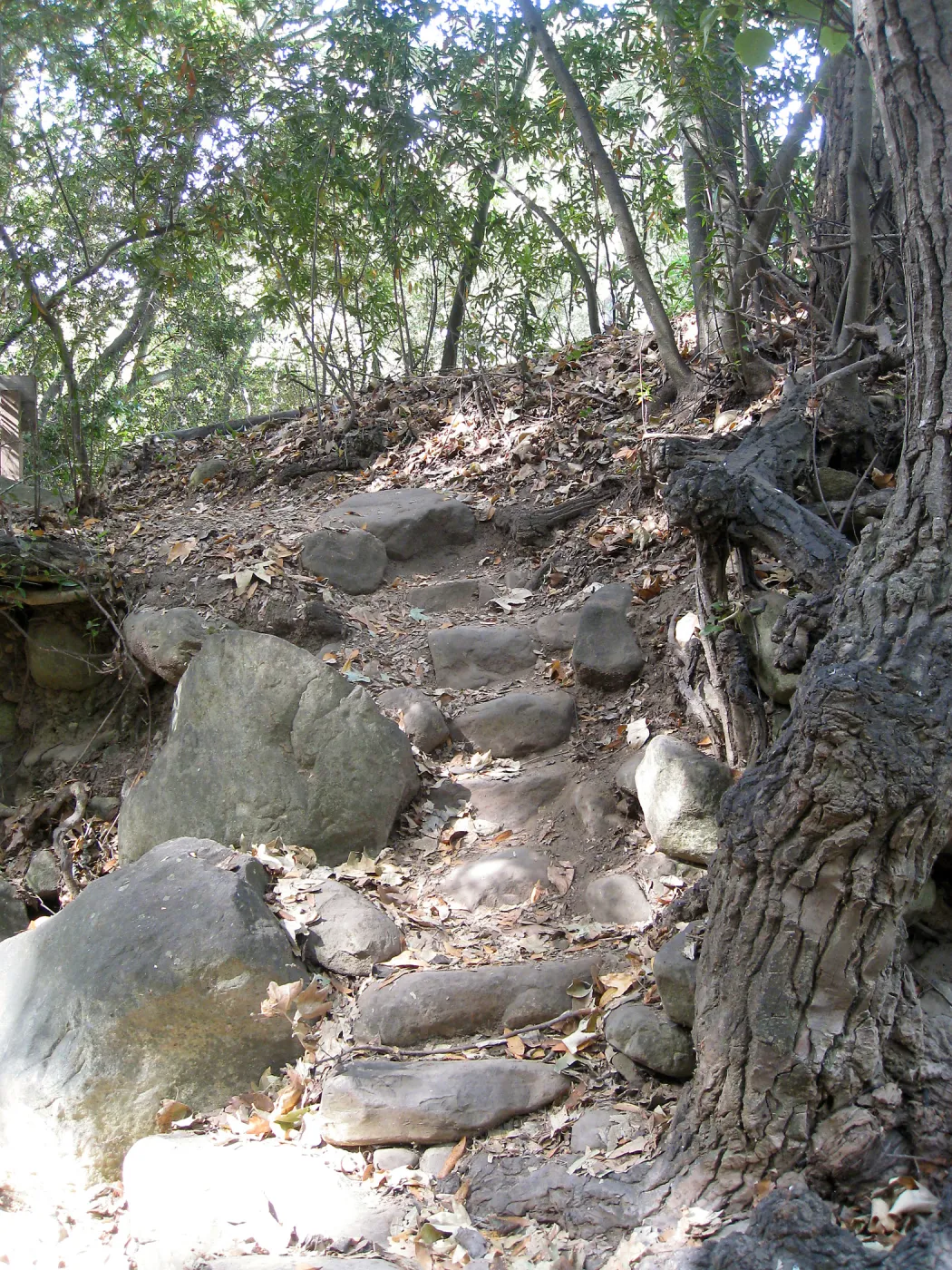 Upper creek crossing 