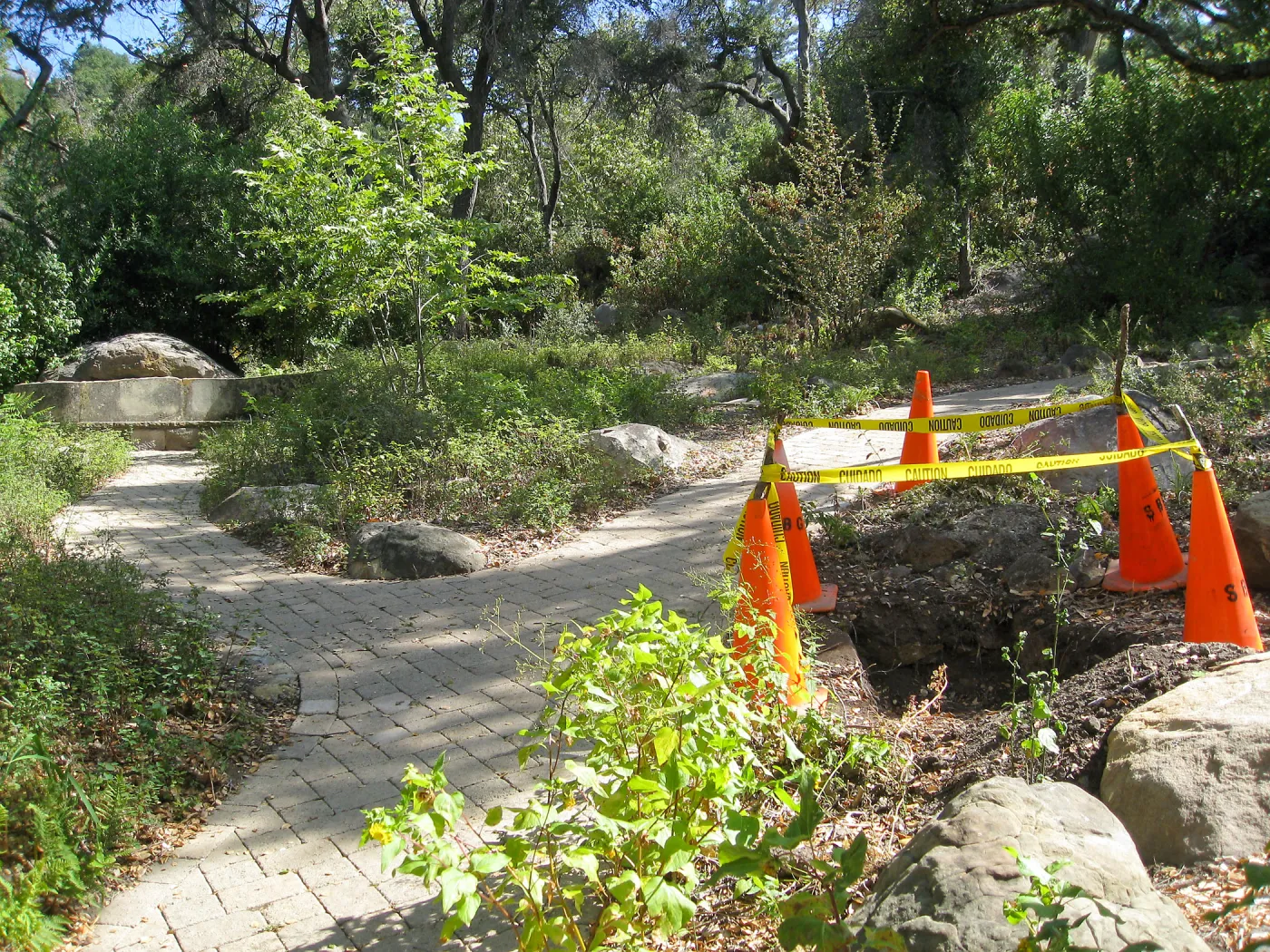 Irrigation valve near Campbell Bench