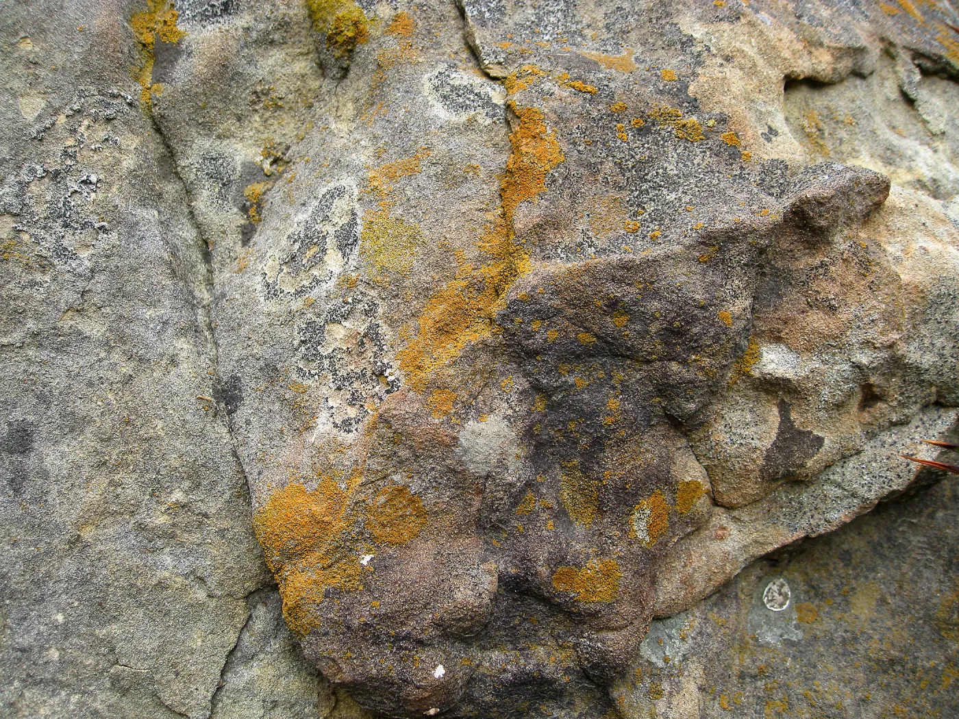 Rocks in the Arroyo
