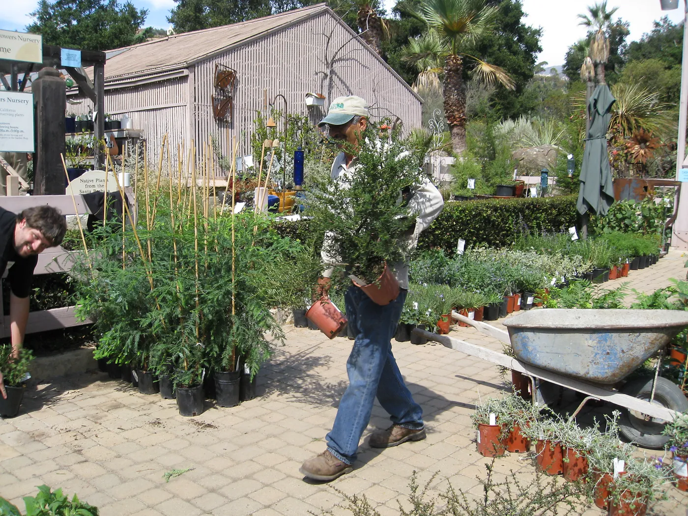 Fall Plant Sale set-up, Manuel Gonzales 