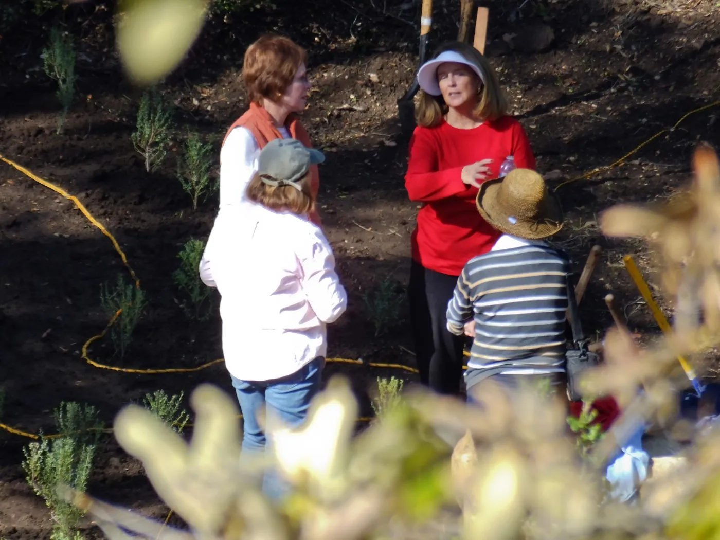 Centennial Maze Planting