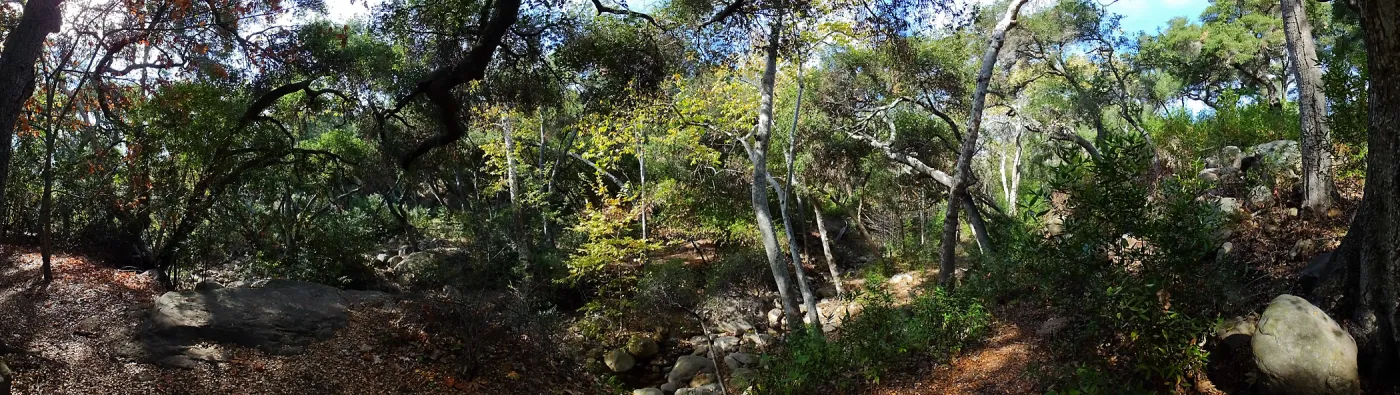 View from east wall of Mission Canyon on trail below Manzanita Section