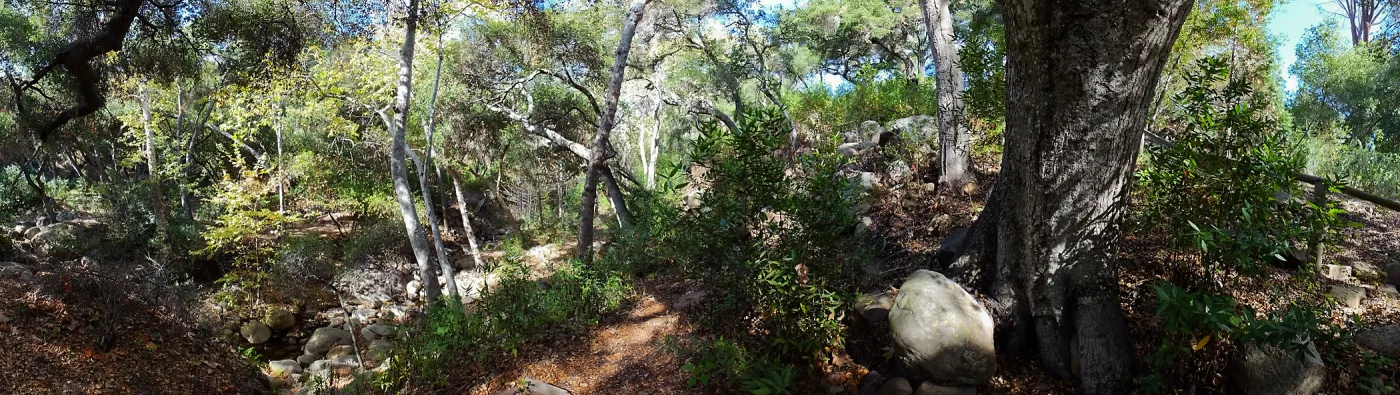 View from east wall of Mission Canyon on trail below Manzanita Section