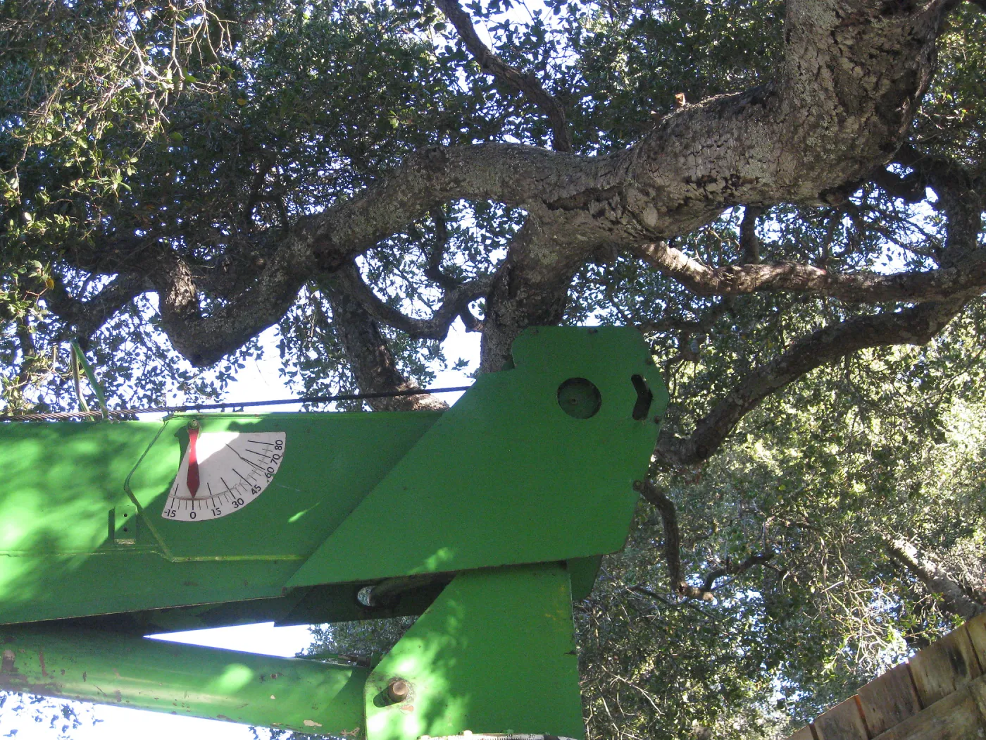 2012 Meadow Oaks Planting, Berylwood Tree Farms