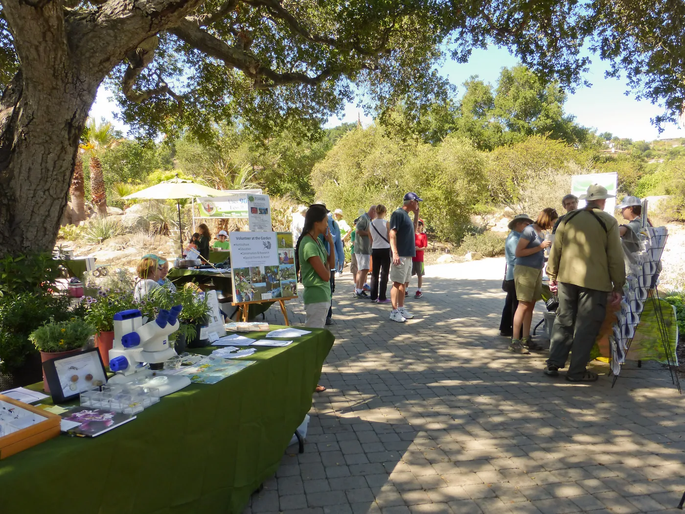 Drip Irrigation Workshop