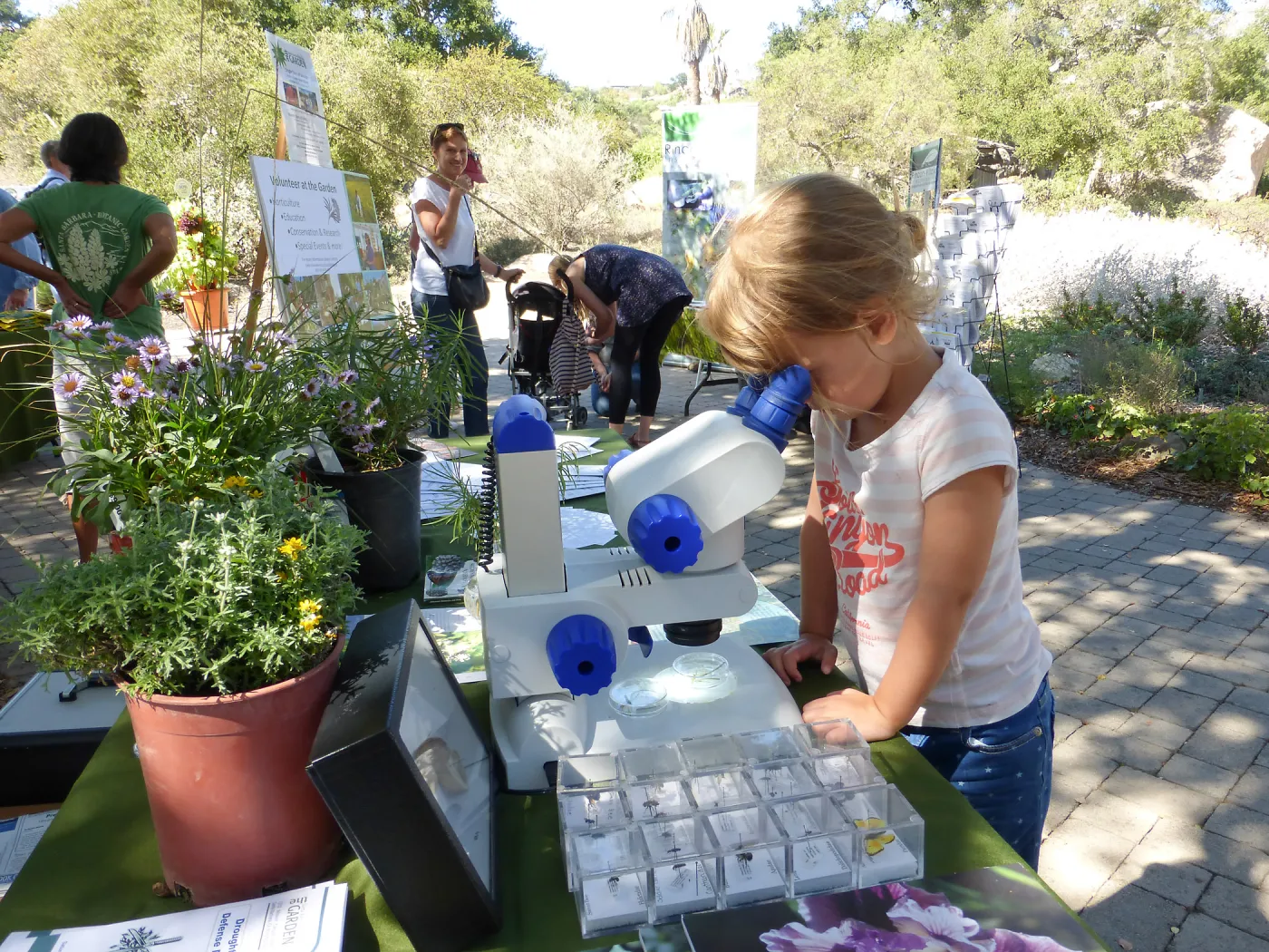 Drip Irrigation Workshop