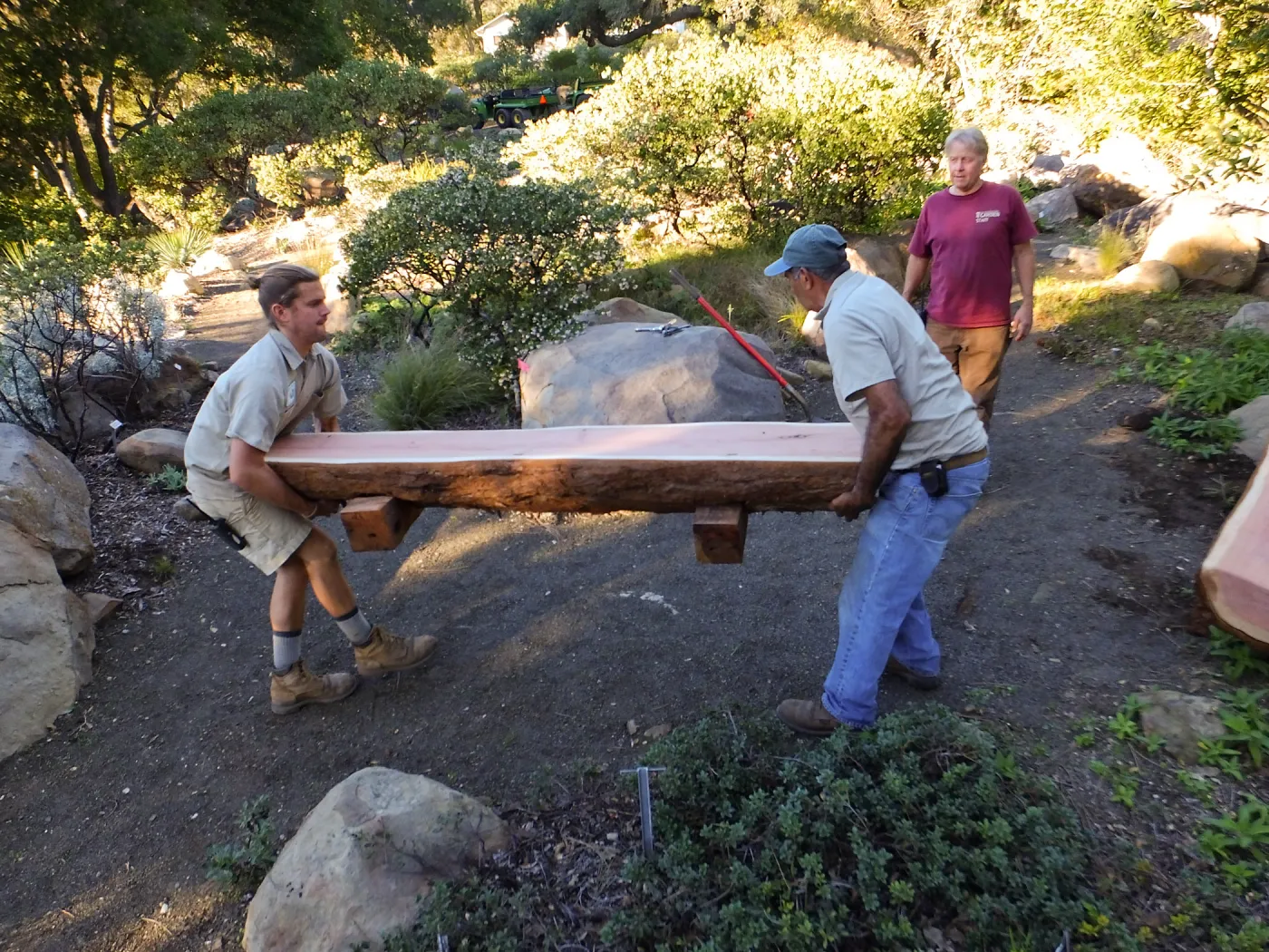 Installation of the Bobbie Jones bench, made from the giant sequoia removed from the Arroyo Section