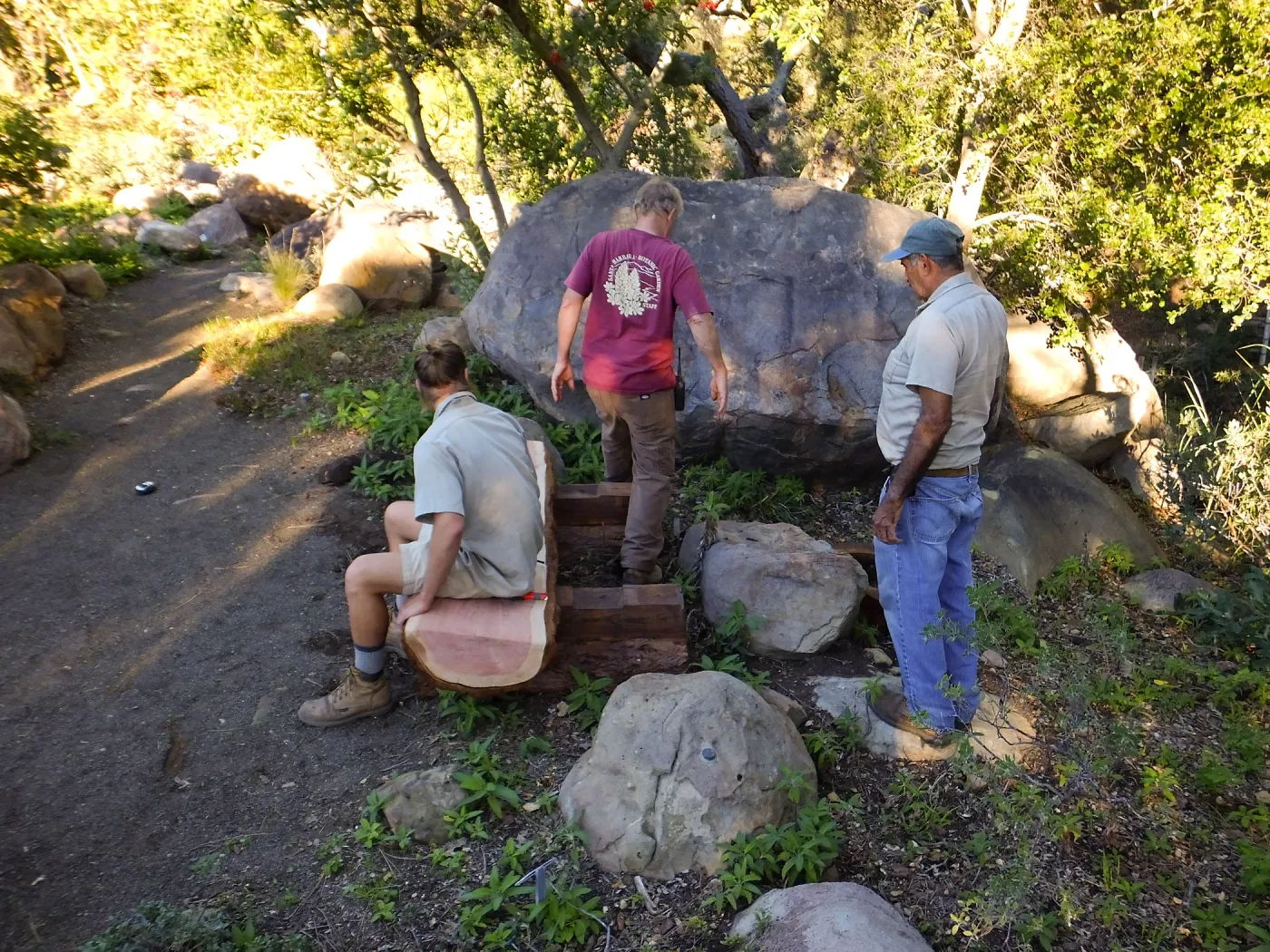 Installation of the Bobbie Jones bench, made from the giant sequoia removed from the Arroyo Section