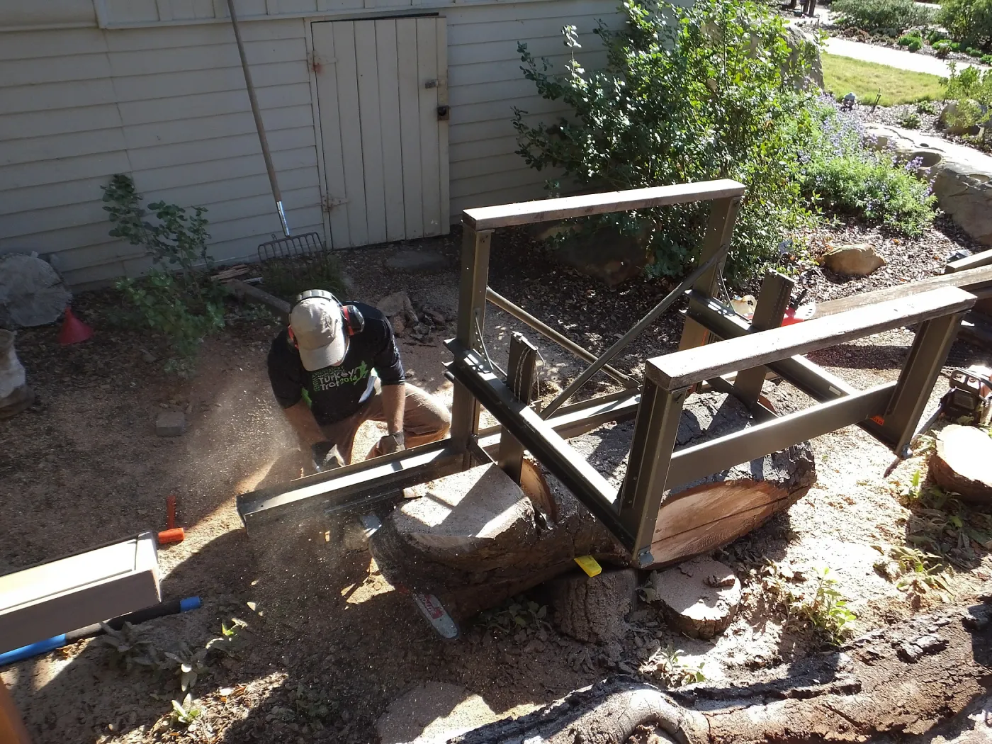 Trunk of former Cottage Oak (Coastal Live Oak) being milled into slabs by Ed Smith of Local Wood