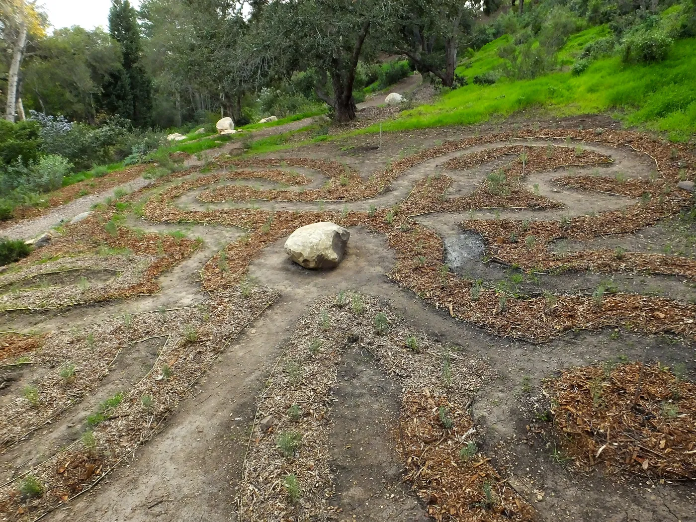 Centennial Maze
