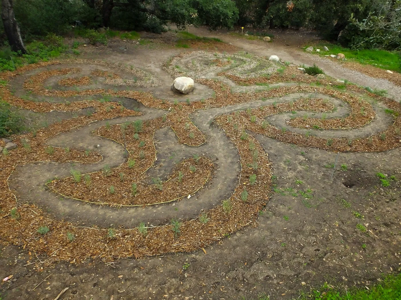 Centennial Maze