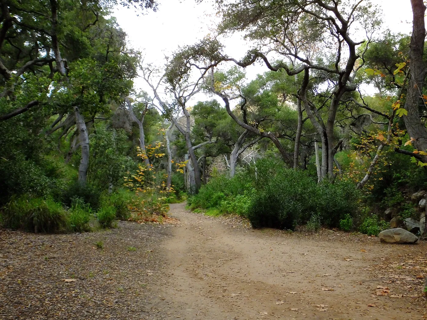 Canyon Trail
