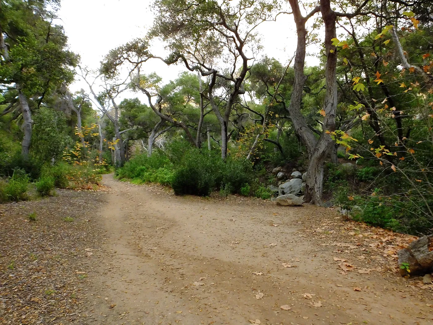 Canyon Trail