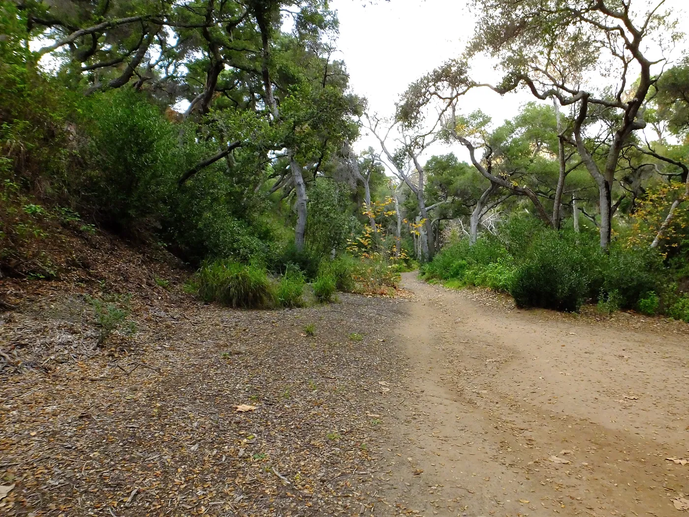 Canyon Trail
